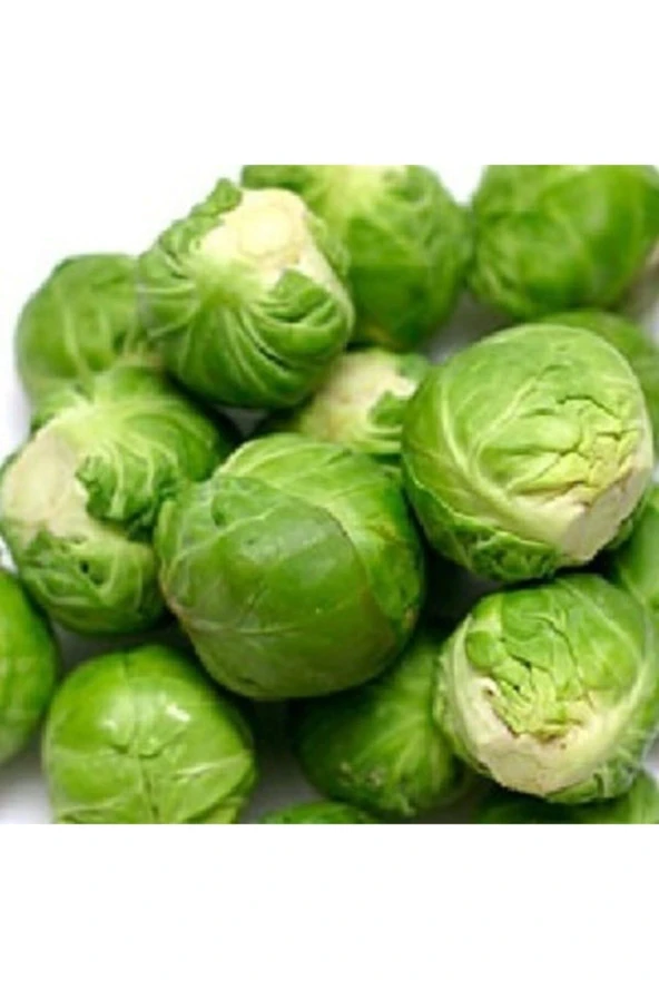 Brüksel Lahana Tohumu (25 Adet Tohum) ürün görseli