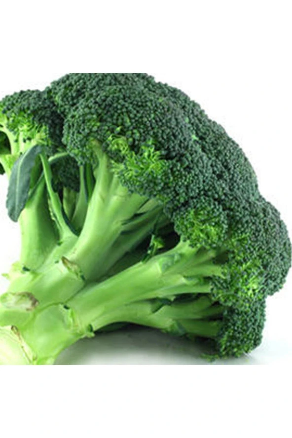 Brokoli Tohumu (15 Adet Tohum) ürün görseli