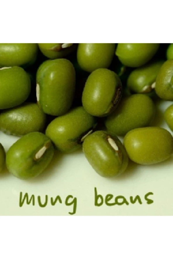 Maş Fasulye Tohumu (20 Adet Tohum) ürün görseli