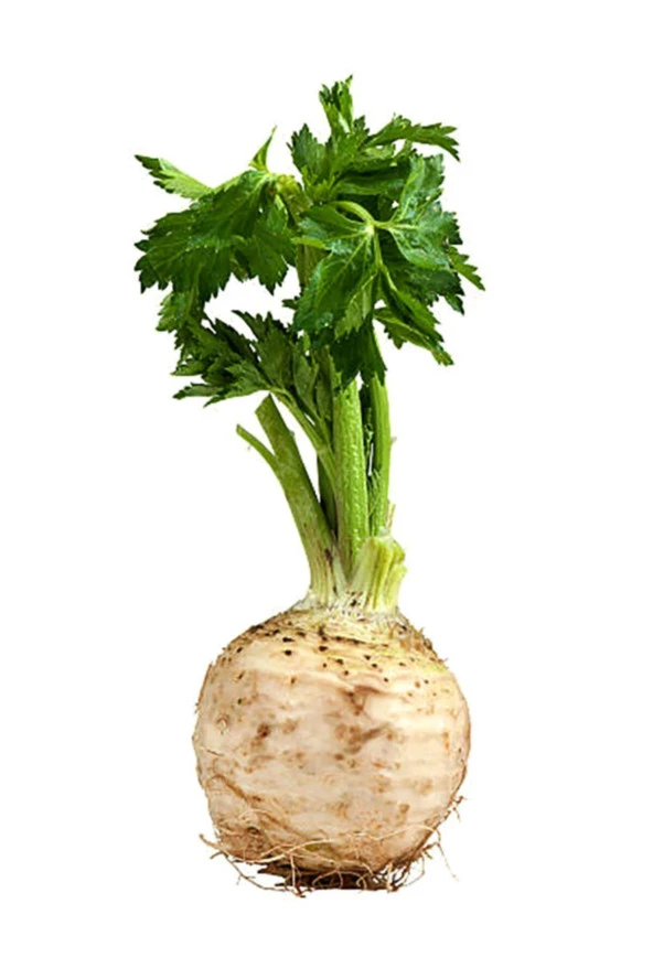Kereviz Celery Tohumu 200 ürün görseli 1