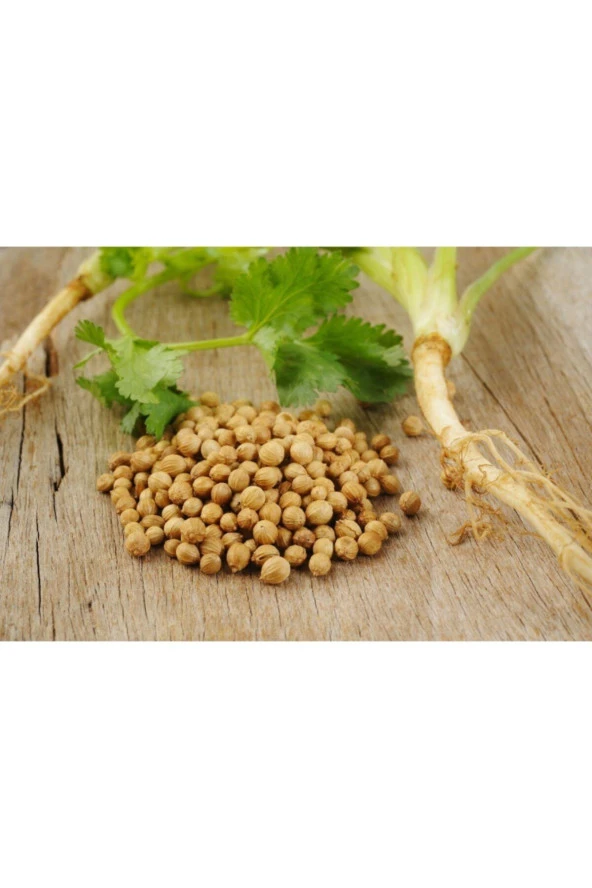 Kişniş Otu(aşotu) Tohumu 25 Adet ürün görseli