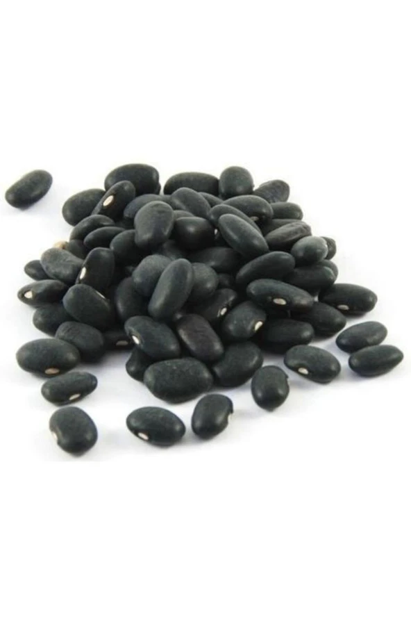 20 Adet Yediveren Siyah Fasulye Tohumu - Resim 2