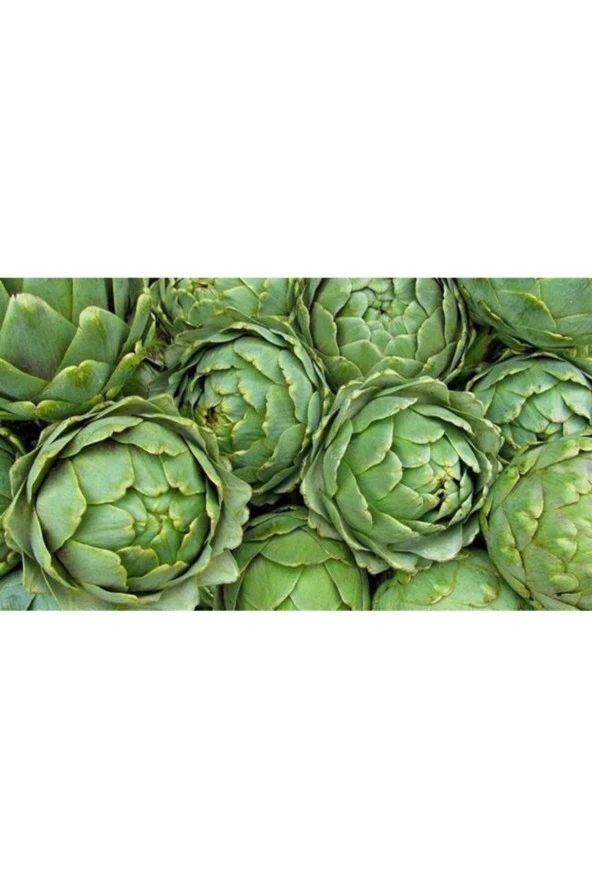 20 Adet Enginar Tohumu ürün görseli