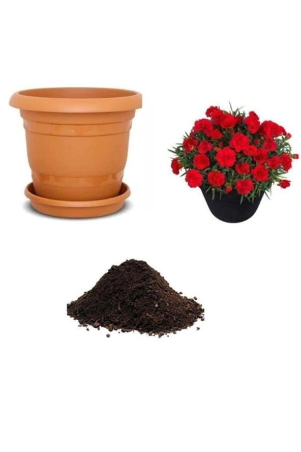 Tohumculuk Kırmızı Karanfil Tohumu Ekim Seti ürün görseli