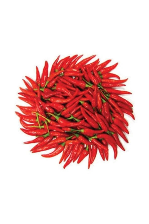 Tohumculuk Ithal Çok Acı Macar Biberi Tohumu 20 Adet Tohum Macar Biber Tohumu ürün görseli