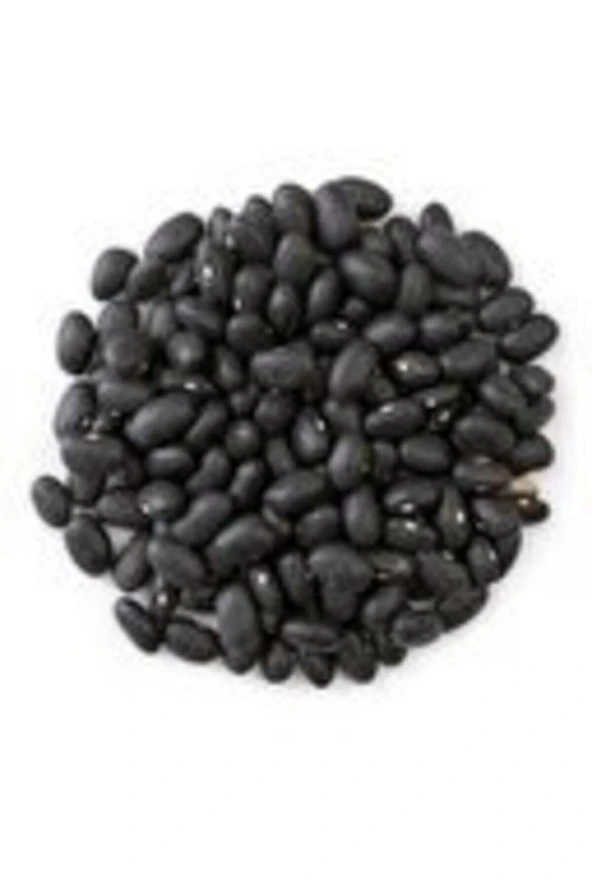 Tohumculuk Nadir Ithal Amerika Siyah Fasulye Tohumu 10 Tohum Kara Fasulye ürün görseli