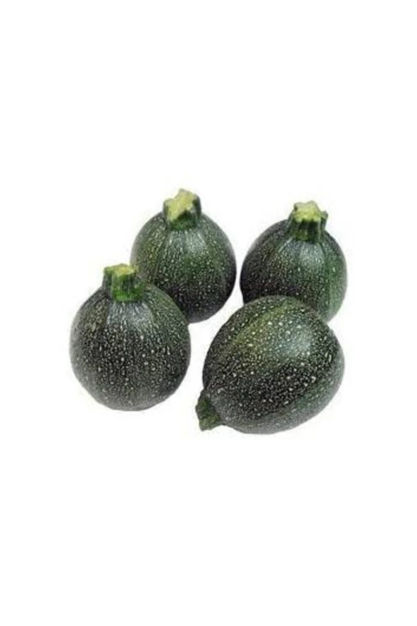 Tohumculuk Süper Paket 150 Adet Tohum Topak Dolmalık Yeşil Kabak Tohumu ürün görseli