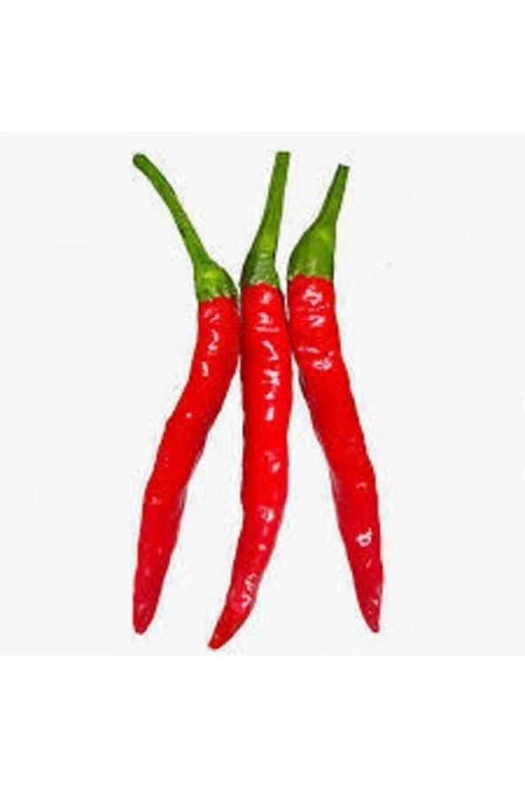 Tohumculuk Tohumculuk 160 Adet Tohum Süper Paket Şili Biberi Tohumu Acı Biber Tohumu ürün görseli