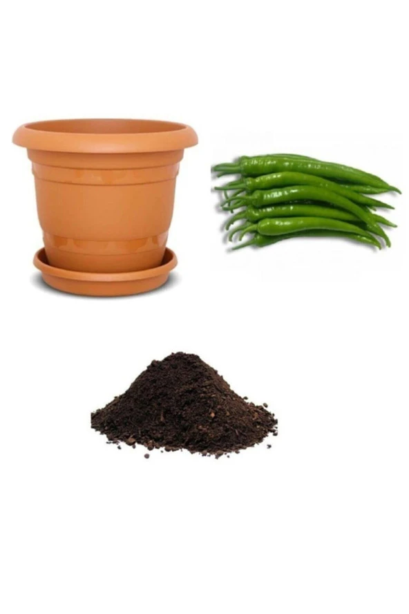 Aci Sivri Demre Biber Tohumu Ekim Seti ürün görseli