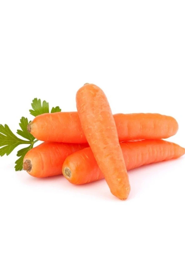Havuç Tohumu 100 Adet ürün görseli 1