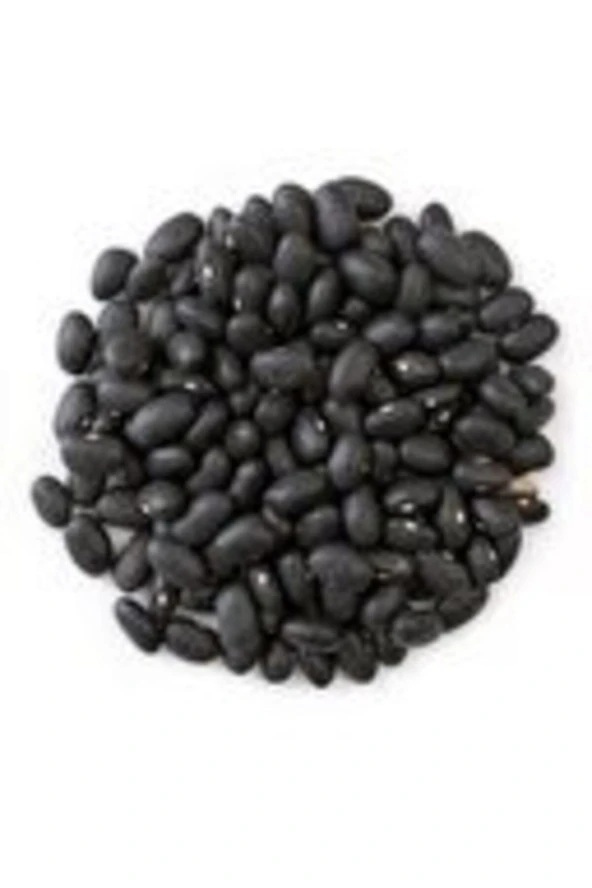 Nadir İthal Amerika Siyah Fasulye Tohumu 10 Tohum Kara Fasulye ürün görseli 1