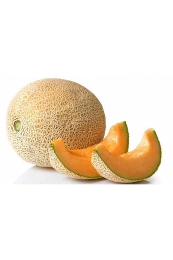 Iri Bal Ananas Kavunu Tohumu Kavun Tohumu 15 Adet Tohum ürün görseli