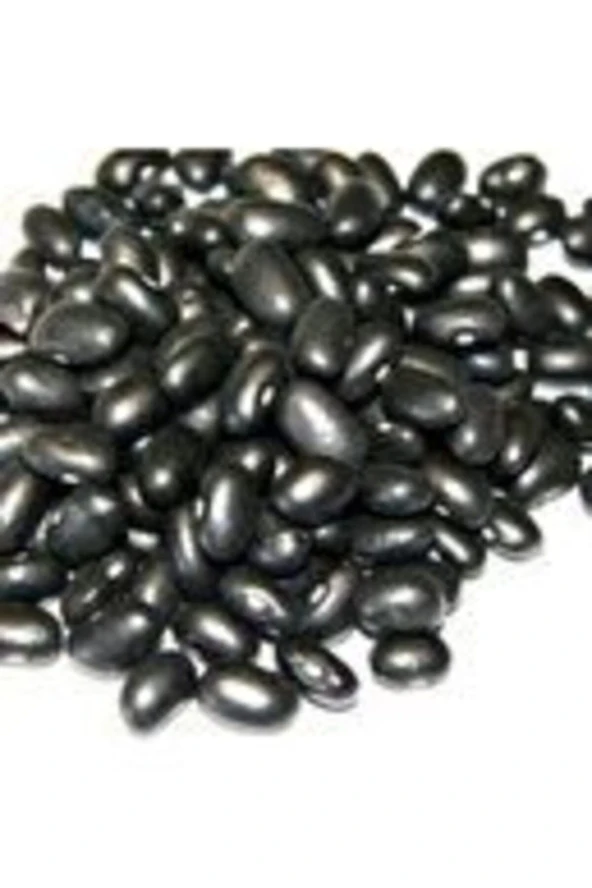 Nadir İthal Amerika Siyah Fasulye Tohumu 10 Tohum Kara Fasulye - Resim 2