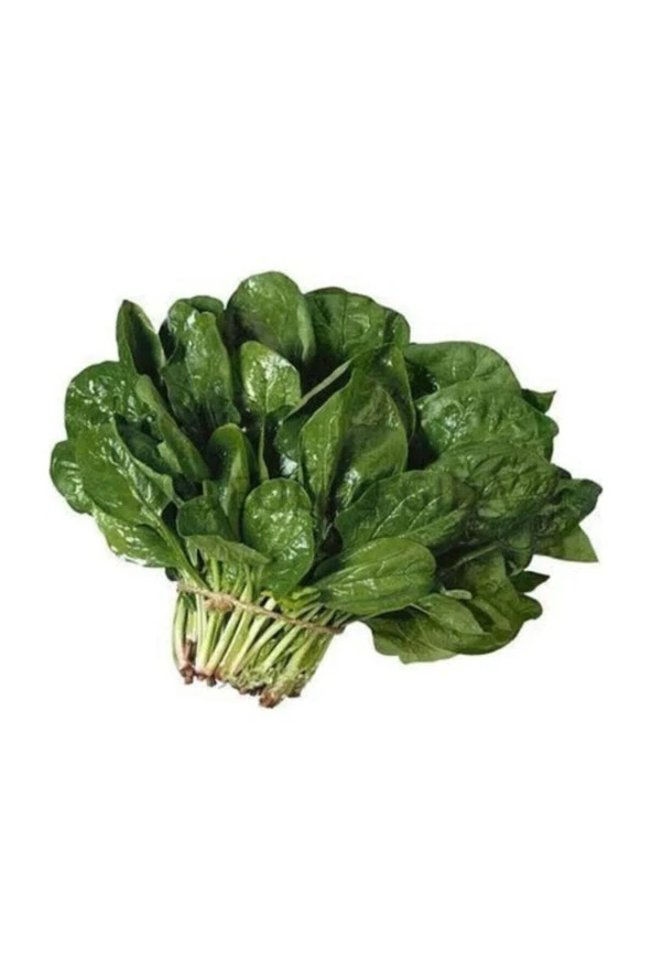 Kuzu Ispanak 100+ Tohum ürün görseli