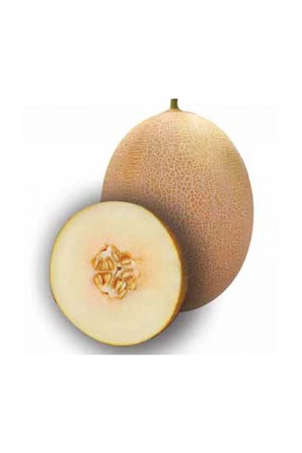 Tohumculuk Süper Paket 500 Adet Tohum Mis Kokulu Bal Ananas Kavun Tohumu ürün görseli