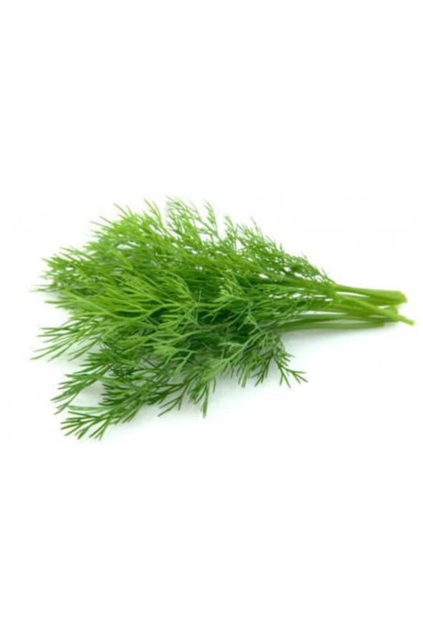 Doğal Dere Otu Tohumu -100adet ürün görseli 1