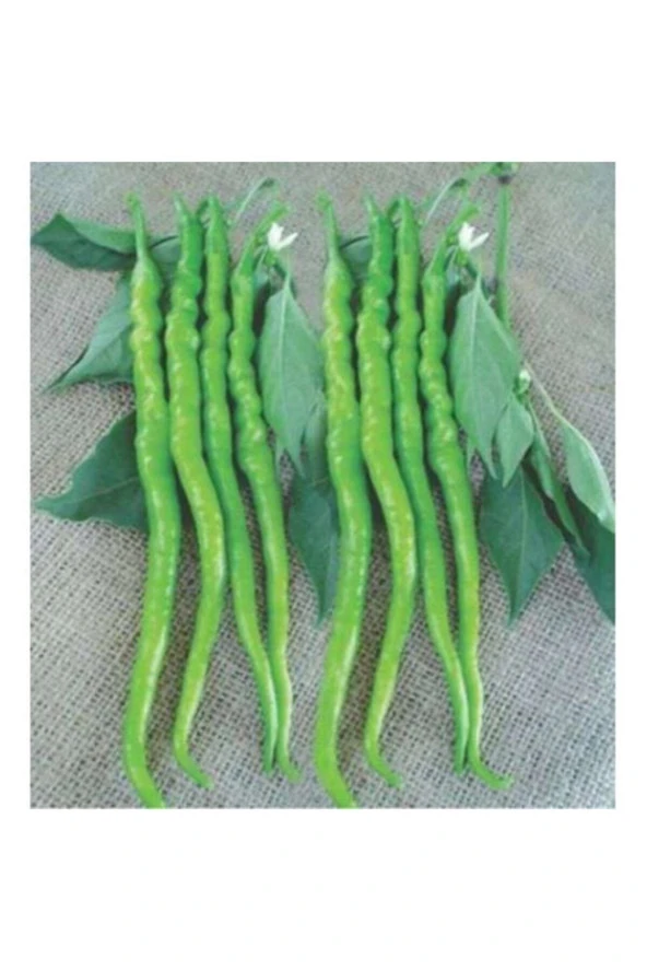 Kıl Biber Tohumu - Besin Takviyesi ürün görseli 1