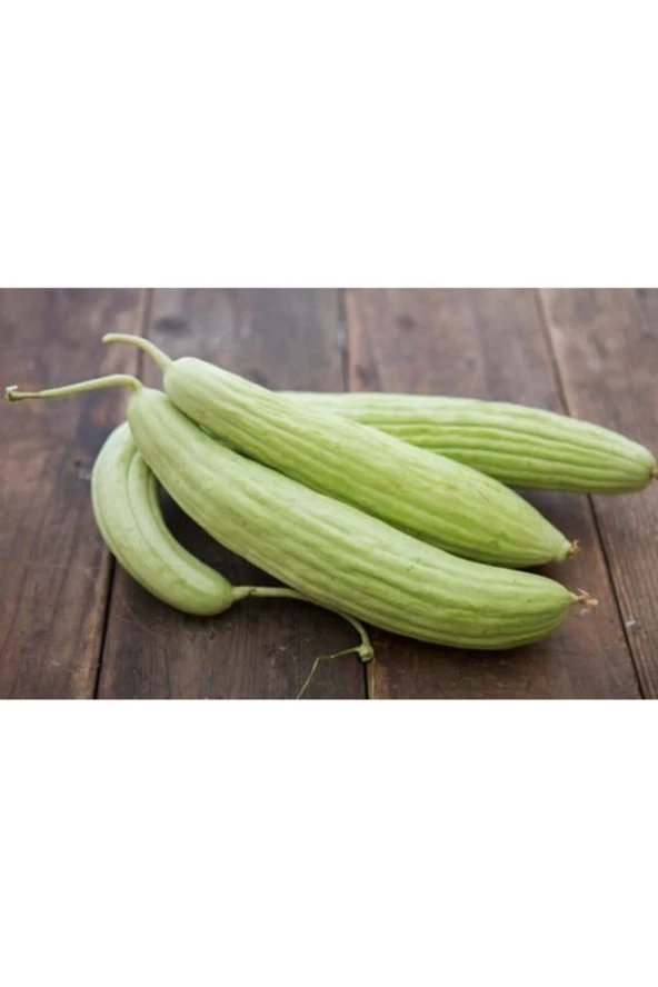 Acur Tohumu- 100adet - Resim 2