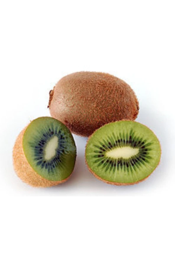 Kivi Tohumu Tropikal Meyve Tohumları(10 Adet Tohum) ürün görseli