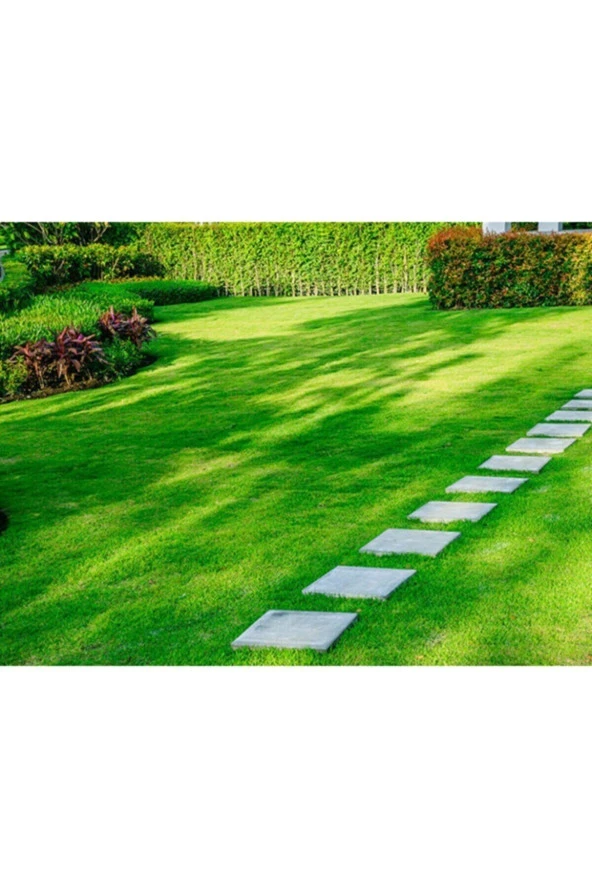 Çim Tohumu 1kg Dayanıklı Yoğun Basılan Alanlar İçin Ideal Çim Tohumu ürün görseli