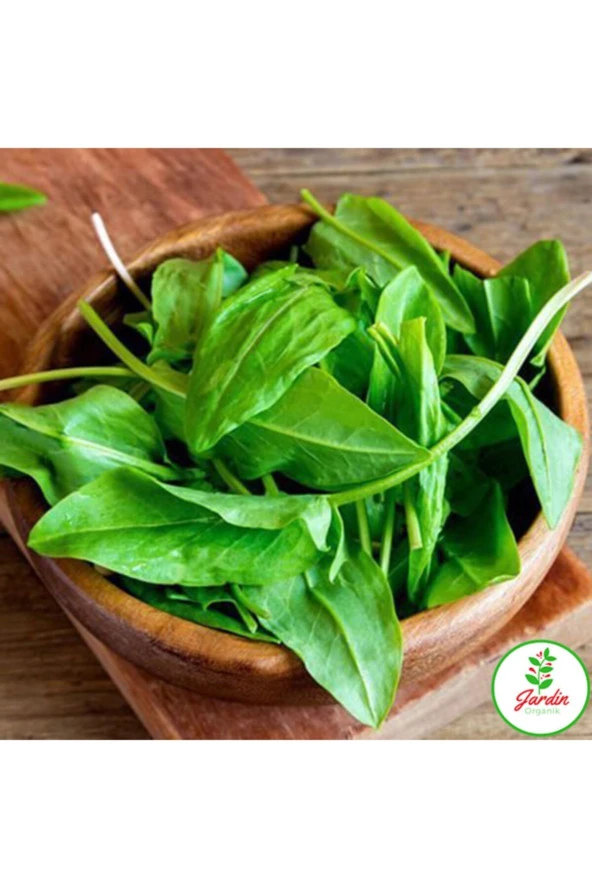 Kuzu Kulağı Ekşimen Tohumu 100+ Adet Saksı Ve Bahçe Için Ideal Ilaçsız Tohum ürün görseli