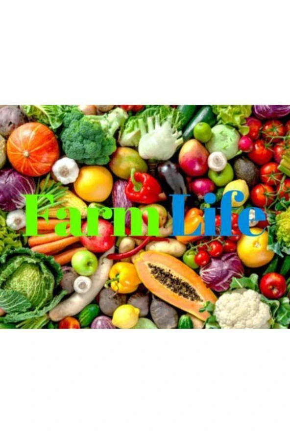 20 Adet Yediveren Mor Lavanta Tohumu - Resim 3