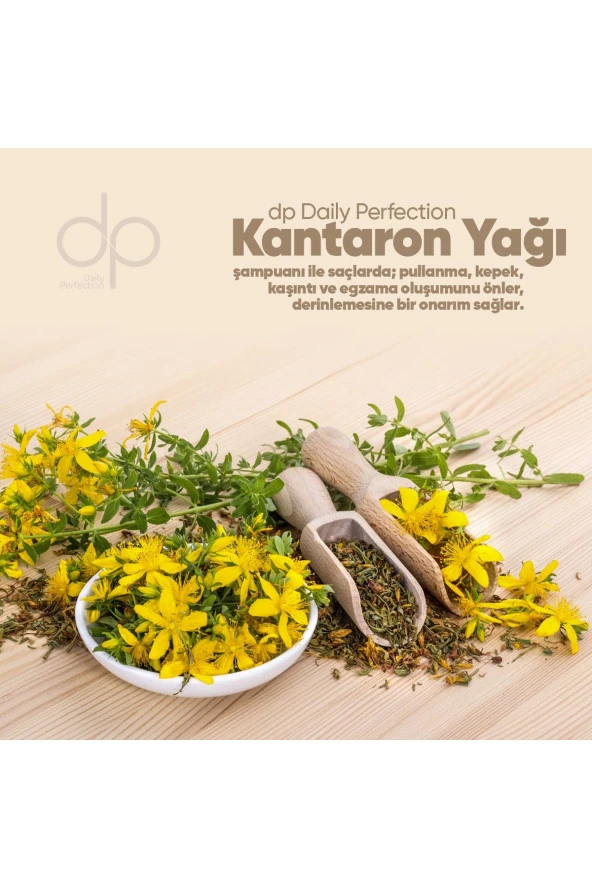 Dp Daily Perfection Kantaron Yağı Şampuan 500 Ml