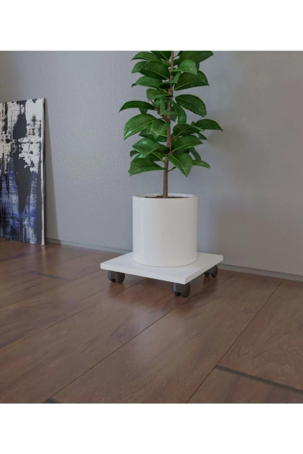 ÜNÜVAR KONSEPT Tekerlekli Damacana Altlığı Tüp Altlığı Saksılık Kullanışlı Saksılık - 4