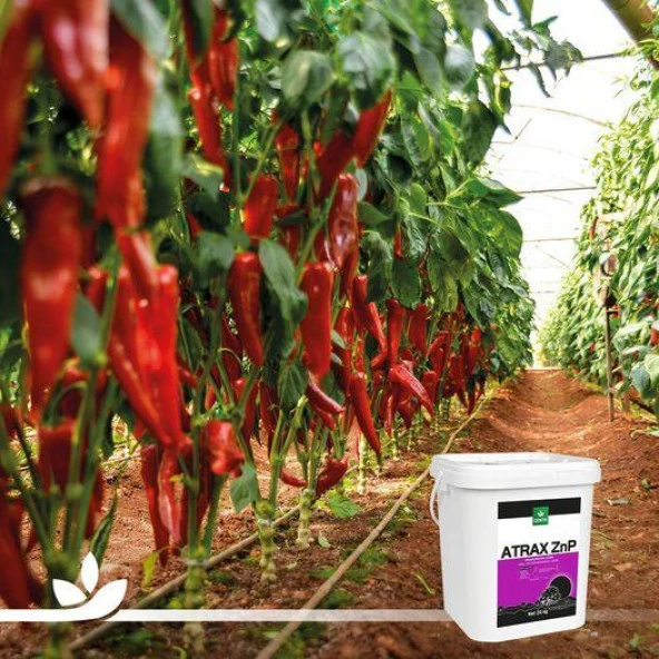 Genta | Atrax ZnP Orgamineral Gübre 20 lt - 4