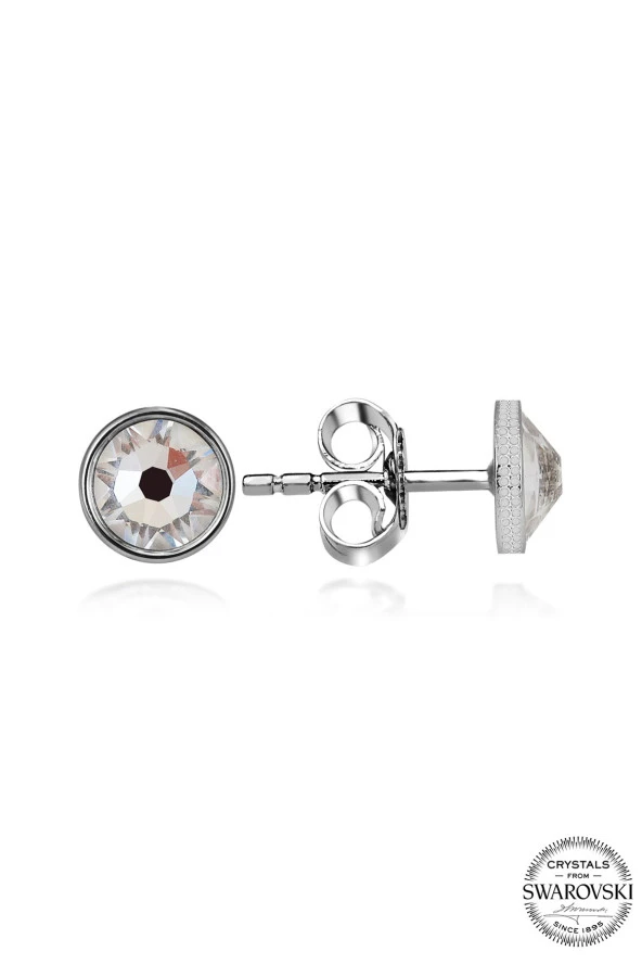 Swarovski Crystal Kadın Çivili Gümüş Küpe - 2