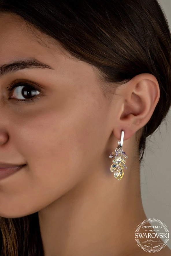 Swarovski Crystal Kadın Kalp Salkım Gümüş Küpe - 2
