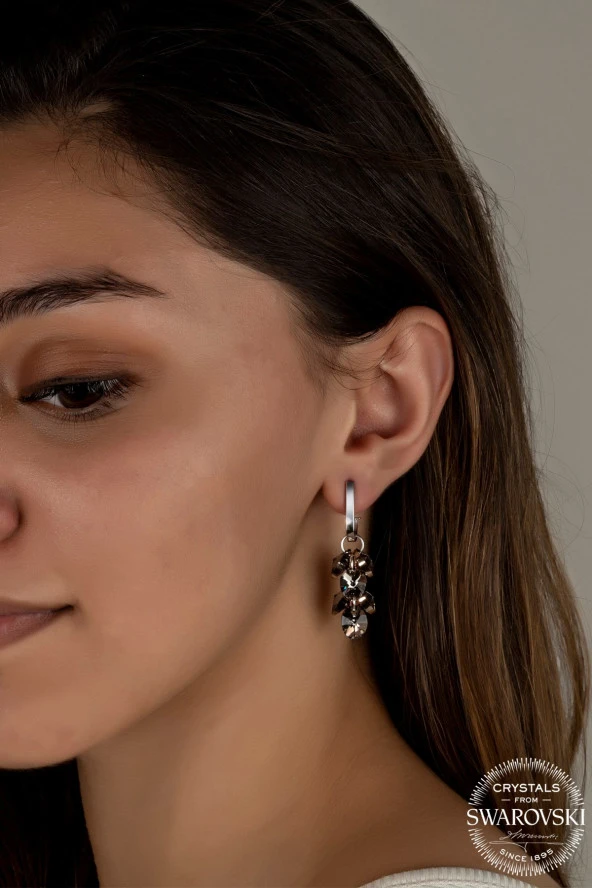 Swarovski Crystal Kadın Oval Salkım Gümüş Küpe - 2