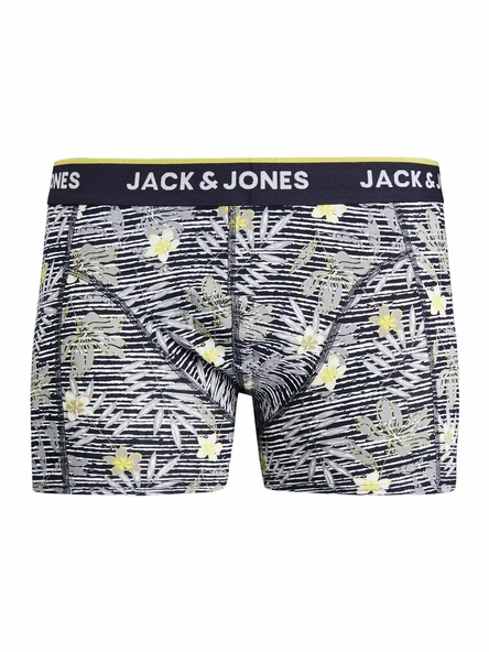 Jack Jones Trıp Erkek Boxer 12179737