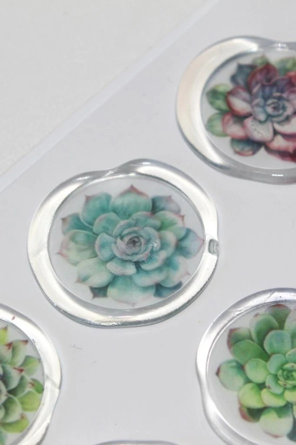 Mühürcüm 12 Adet Hazır Kendinden Yapışkanlı Sukulent Bitki Sticker Mühür KYSM109 - 5