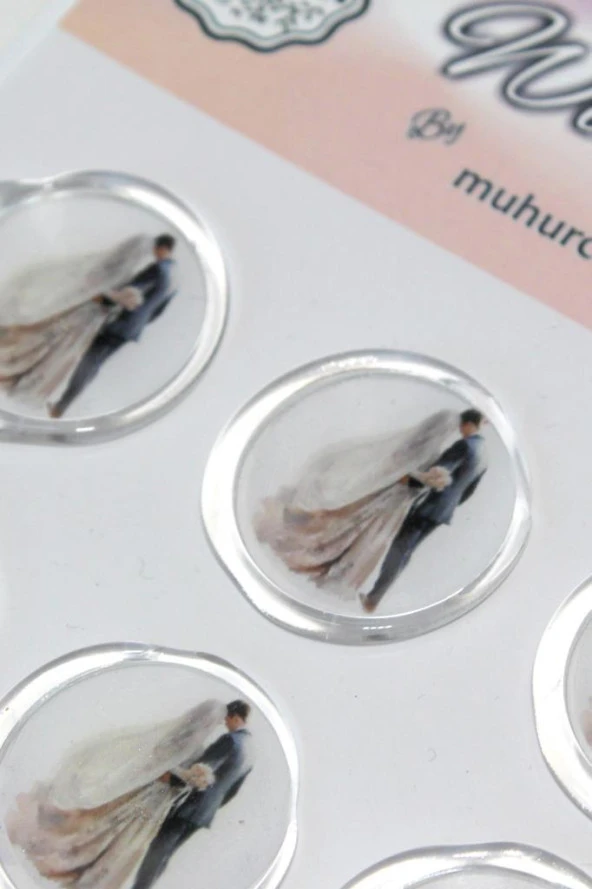Mühürcüm 12 Adet Hazır Kendinden Yapışkanlı Sukulent Bitki Sticker Mühür KYSM110 - 2