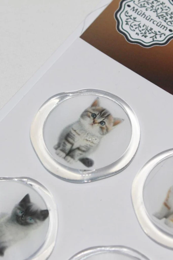 Mühürcüm 12 Adet Hazır Kendinden Yapışkanlı Gelin Damat Davetiye Sticker Mühür KYSM115 - 2