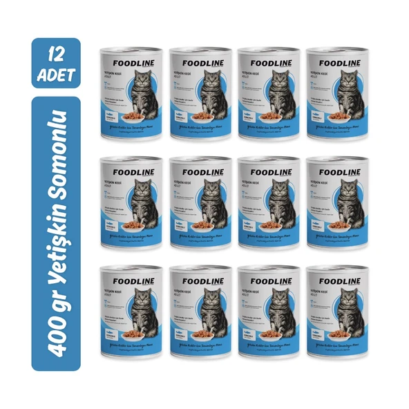 Foodline Somonlu Yetişkin Kedi Konservesi 400 Gr x 12 Adet ürün görseli 1