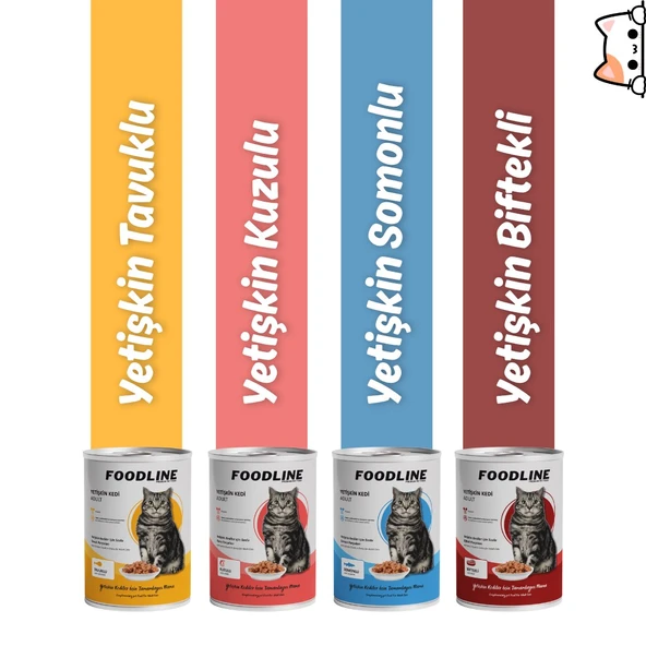 Foodline Biftekli Yetişkin Kedi Konservesi 400 Gr x 20 Adet - Resim 4