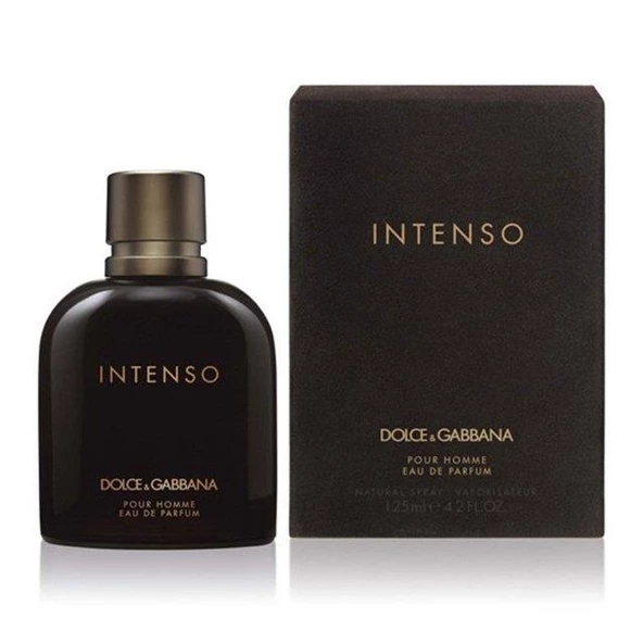 Dolce Gabbana Intenso EDP 125 ml Erkek Parfüm ürün görseli