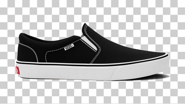 Vans WM Asher  Kadın Ayakkabısı VN0A32QM1871