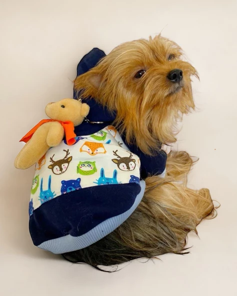 Teddy Roo Kapşonlu Köpek Sweatshirt Köpek Elbisesi Köpek Kıyafeti - 7