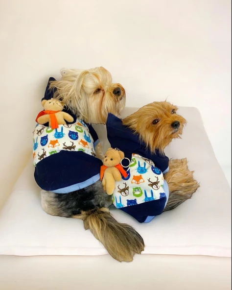 Teddy Roo Kapşonlu Köpek Sweatshirt Köpek Elbisesi Köpek Kıyafeti - 3
