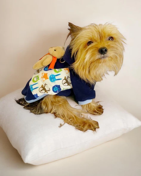 Teddy Roo Kapşonlu Köpek Sweatshirt Köpek Elbisesi Köpek Kıyafeti - 8