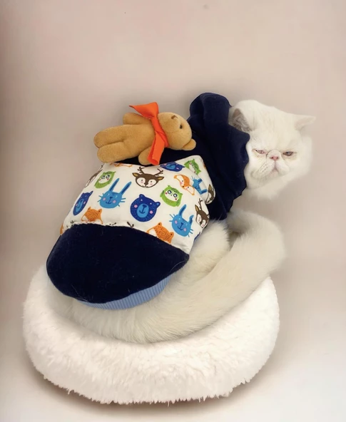 Teddy Roo Kapşonlu Kedi Sweatshirt Kedi Kıyafeti Kedi Elbisesi Kedi Giyim ürün görseli 1