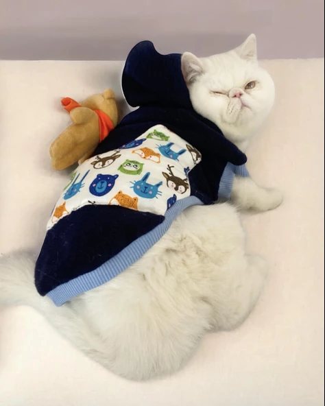 Teddy Roo Kapşonlu Kedi Sweatshirt Kedi Kıyafeti Kedi Elbisesi Kedi Giyim - Resim 3