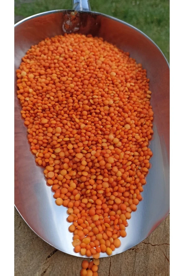 ŞENLER - Doğal Kırmızı Mercimek - 1 Kg - 2