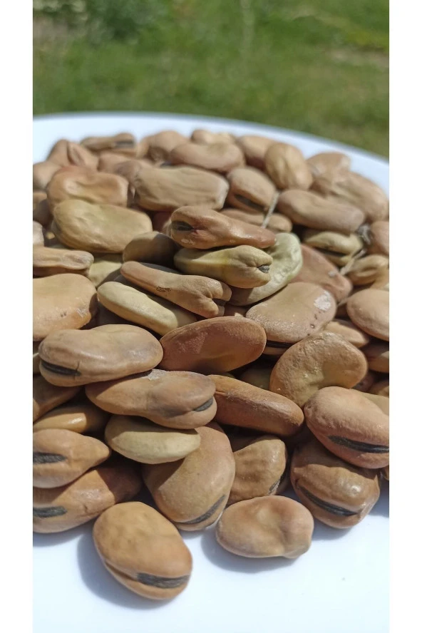 ŞENLER - Kuru Kabuklu Bakla 1 Kg - Yeni Mahsül - 2