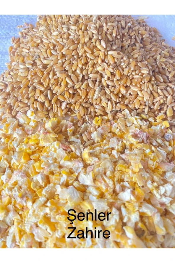 ŞENLER - Kırık Mısır Ve Buğday Karışık Yem 1 Kg ( Tavuk, Güvercin, Kuş, Kaz, Ördek Vs.)