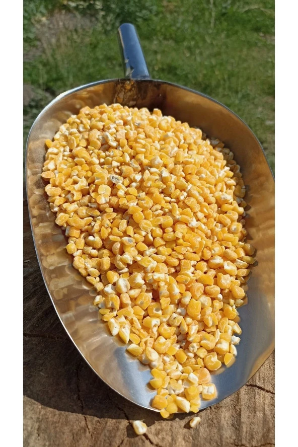 ŞENLER - Doğal Çorbalık Sarı Mısır - 1 Kg - 3