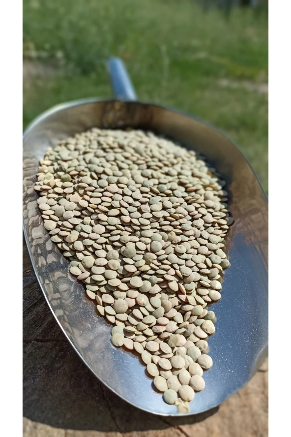 ŞENLER - Doğal Yeşil Mercimek - 1 Kg - 2